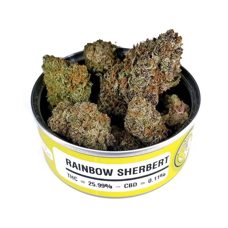 BUY RAINBOW SHERBERT